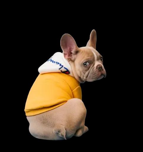 Software veterinario